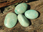Polished Amazonite Palm Stones x 24 From Madagascar - Toprock Gemstones and Minerals 