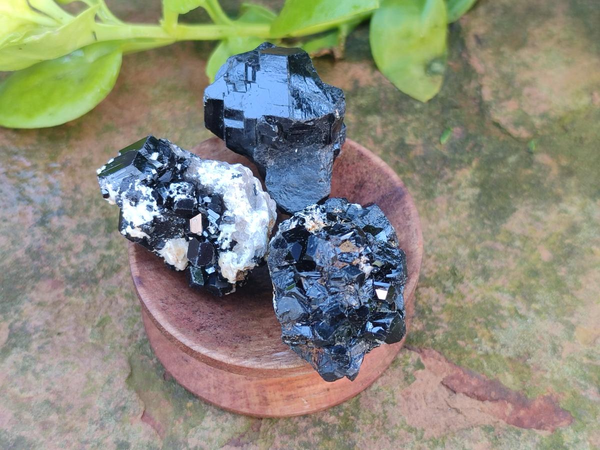 Natural Schorl Black Tourmaline Specimens with Inclusions x 35 From Erongo, Namibia - Toprock Gemstones and Minerals 