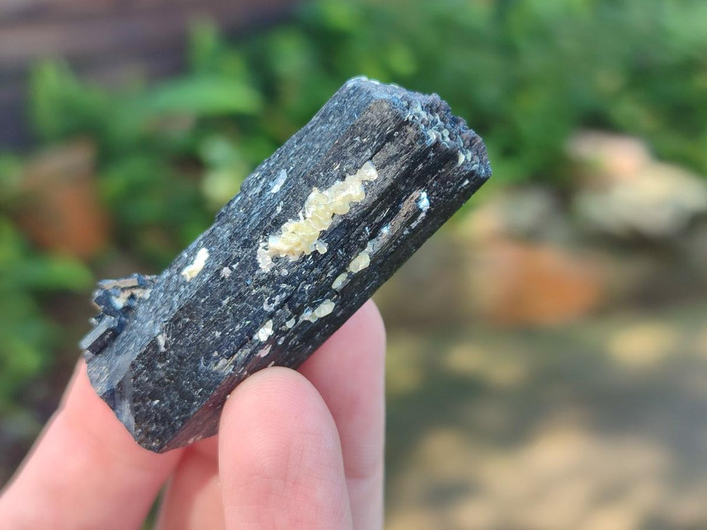 Natural Schorl Black Tourmaline Specimens with Inclusions x 35 From Erongo, Namibia - Toprock Gemstones and Minerals 