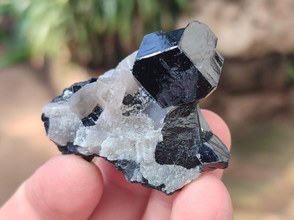 Natural Schorl Black Tourmaline Specimens with Inclusions x 35 From Erongo, Namibia