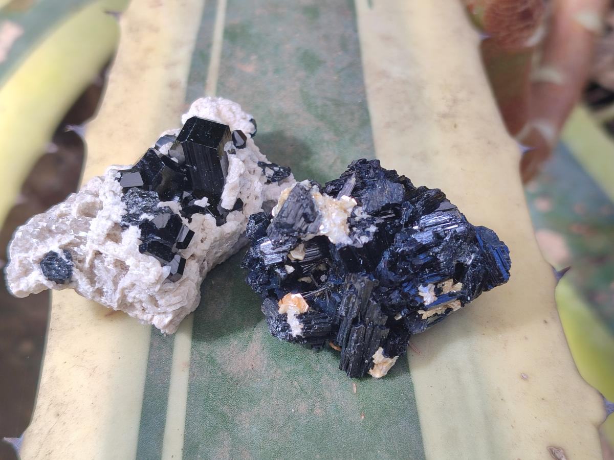 Natural Schorl Black Tourmaline Specimens with Inclusions x 35 From Erongo, Namibia - Toprock Gemstones and Minerals 