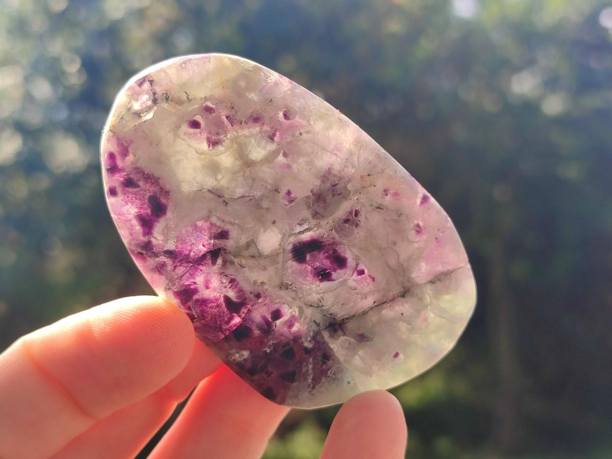 Polished Watermelon Fluorite Free Forms x 24 From Uis, Namibia - Toprock Gemstones and Minerals 