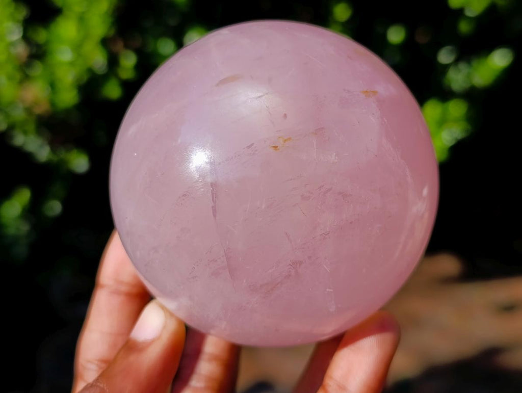 Polished Gemmy Star Rose Quartz Spheres x 2 From Madagascar - Toprock Gemstones and Minerals 