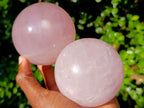 Polished Gemmy Star Rose Quartz Spheres x 2 From Madagascar - Toprock Gemstones and Minerals 