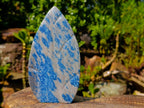 Polished Blue Spotted Spinel in Quartz Standing Display Leaf Sculptured Pieces x 2 From Madagascar - Toprock Gemstones and Minerals 