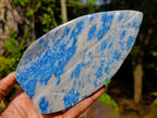 Polished Blue Spotted Spinel in Quartz Standing Display Leaf Sculptured Pieces x 2 From Madagascar - Toprock Gemstones and Minerals 