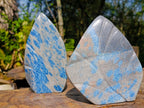 Polished Blue Spotted Spinel in Quartz Standing Display Leaf Sculptured Pieces x 2 From Madagascar - Toprock Gemstones and Minerals 