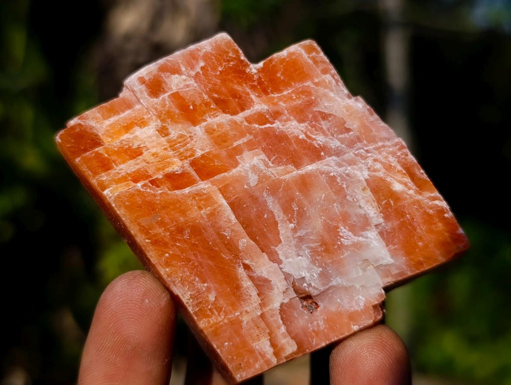 Natural Rhombohedral Sunset Orange Calcite Specimens x 14 From Spitzkop, Namibia - Toprock Gemstones and Minerals 