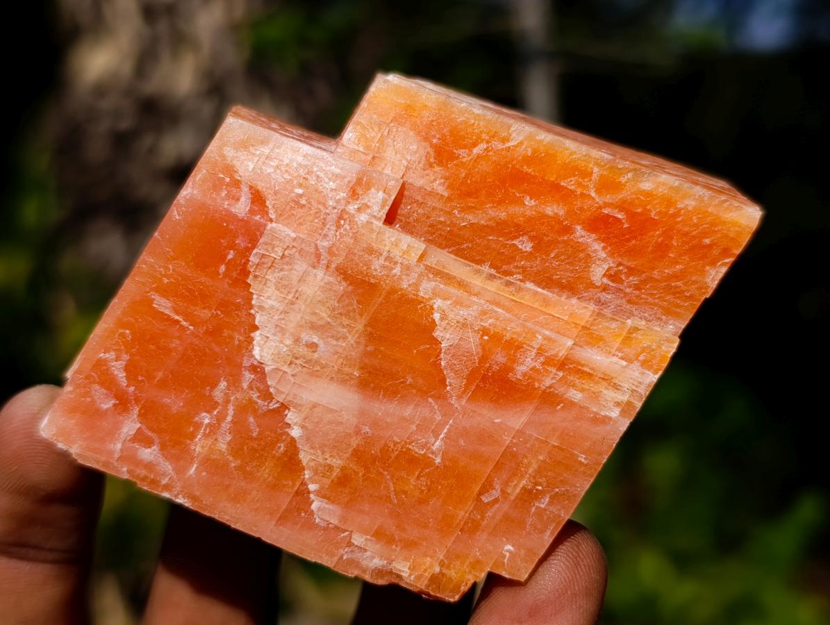 Natural Rhombohedral Sunset Orange Calcite Specimens x 14 From Spitzkop, Namibia - Toprock Gemstones and Minerals 
