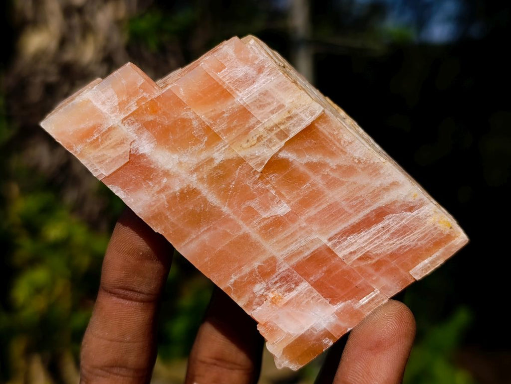 Natural Rhombohedral Sunset Orange Calcite Specimens x 14 From Spitzkop, Namibia - Toprock Gemstones and Minerals 