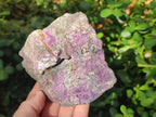 Natural Stichtite Cobbed Specimens x 4 From Barberton, South Africa - Toprock Gemstones and Minerals 