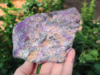Natural Stichtite Cobbed Specimens x 4 From Barberton, South Africa - Toprock Gemstones and Minerals 