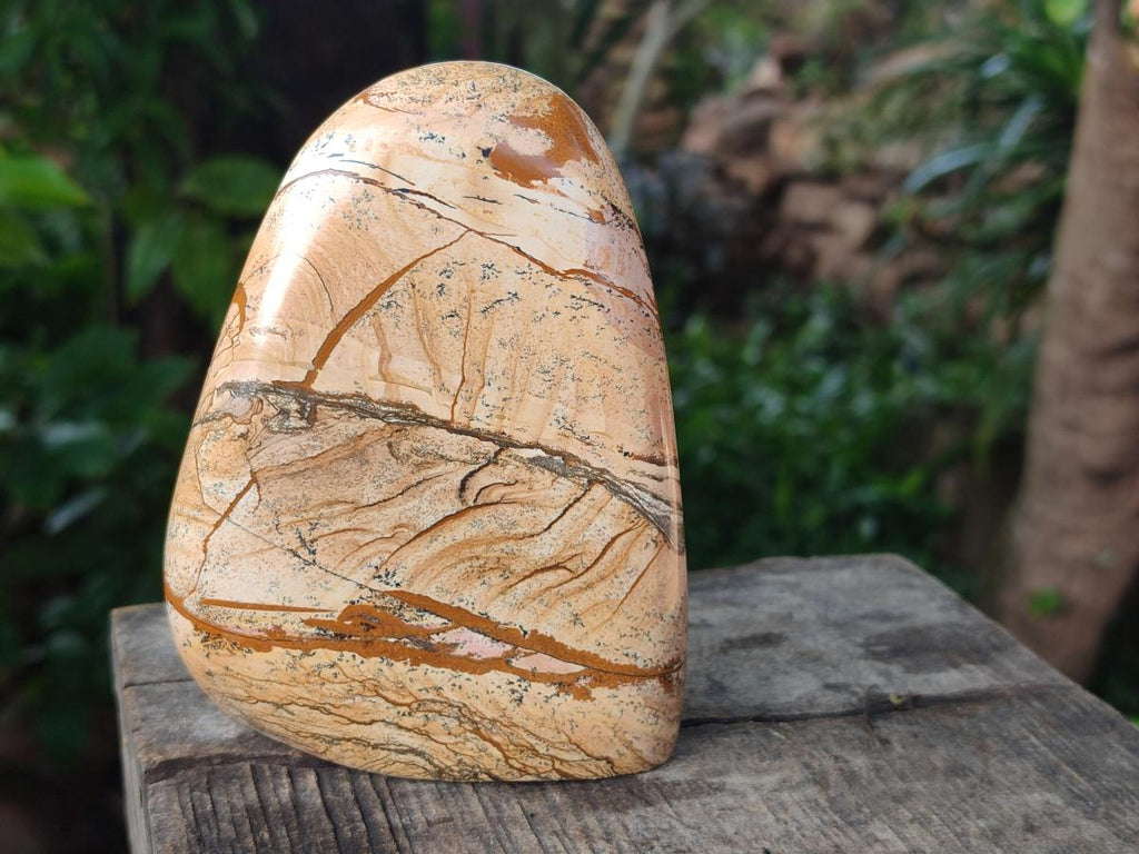 Polished Picture Stone Jasper Standing Display Pieces x 2 From Ais-Ais, Namibia - Toprock Gemstones and Minerals 