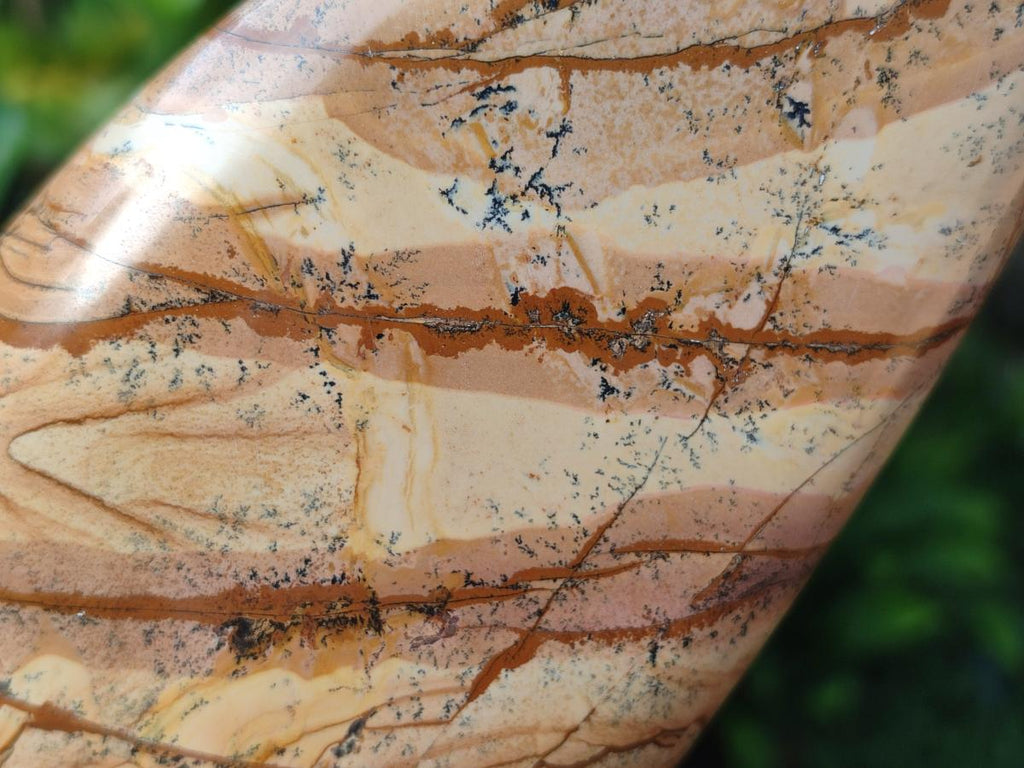 Polished Picture Stone Jasper Standing Display Pieces x 2 From Ais-Ais, Namibia - Toprock Gemstones and Minerals 
