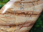 Polished Picture Stone Jasper Standing Display Pieces x 2 From Ais-Ais, Namibia - Toprock Gemstones and Minerals 