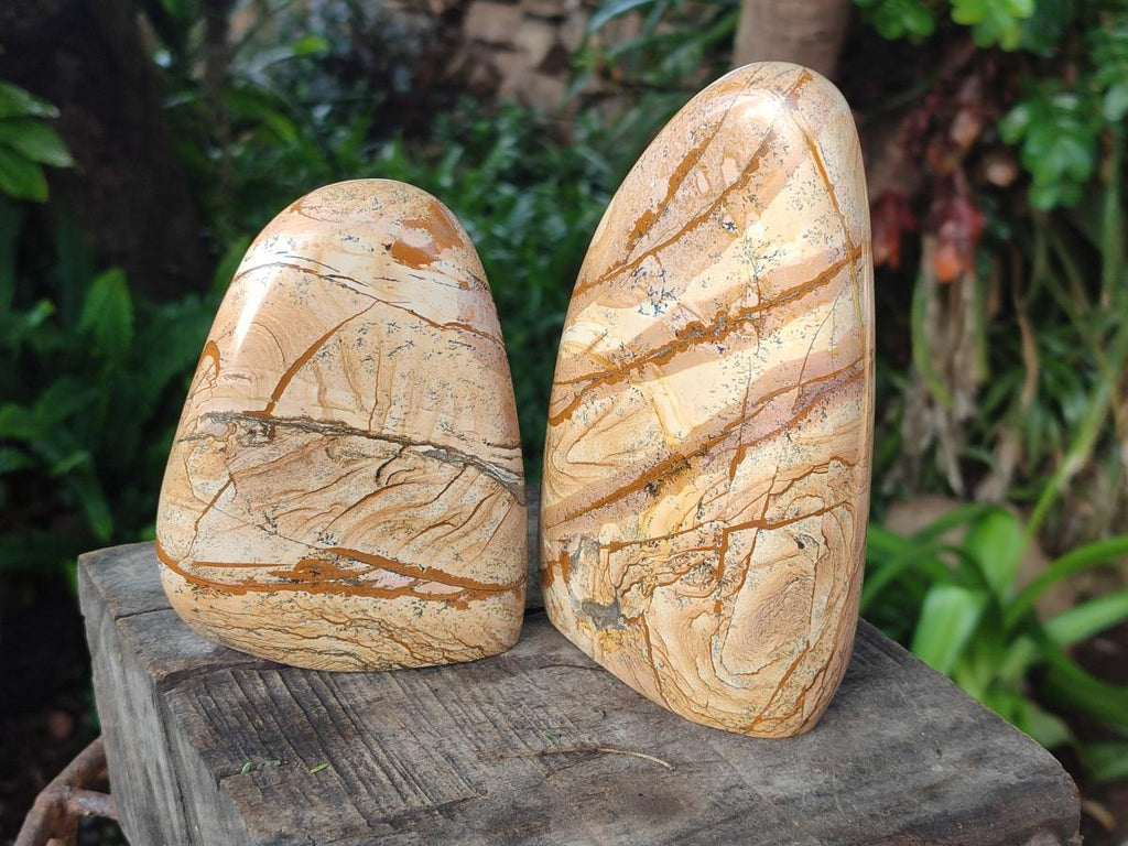 Polished Picture Stone Jasper Standing Display Pieces x 2 From Ais-Ais, Namibia - Toprock Gemstones and Minerals 