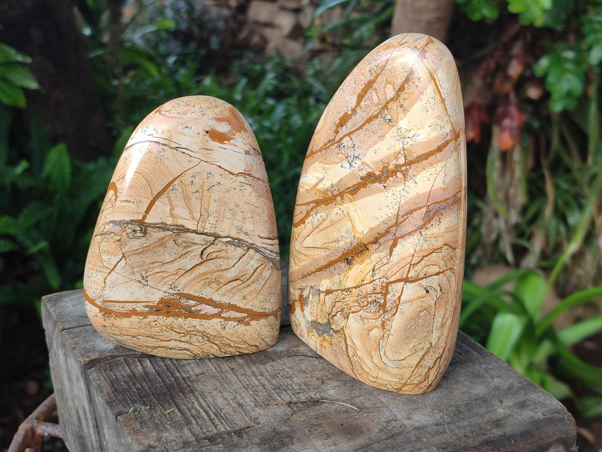 Polished Picture Stone Jasper Standing Display Pieces x 2 From Ais-Ais, Namibia - Toprock Gemstones and Minerals 