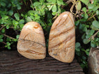 Polished Picture Stone Jasper Standing Display Pieces x 2 From Ais-Ais, Namibia - Toprock Gemstones and Minerals 