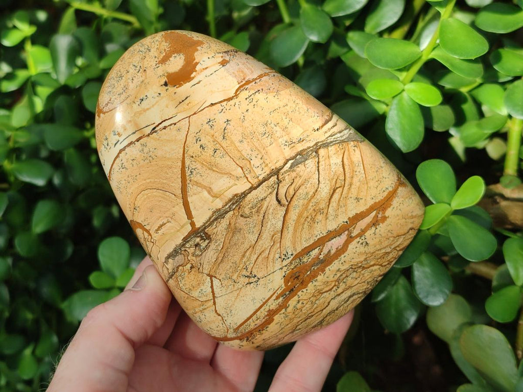 Polished Picture Stone Jasper Standing Display Pieces x 2 From Ais-Ais, Namibia - Toprock Gemstones and Minerals 