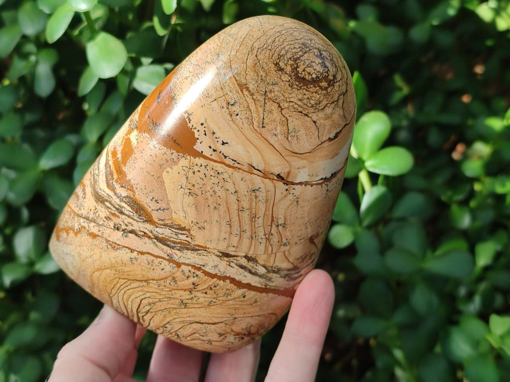 Polished Picture Stone Jasper Standing Display Pieces x 2 From Ais-Ais, Namibia - Toprock Gemstones and Minerals 