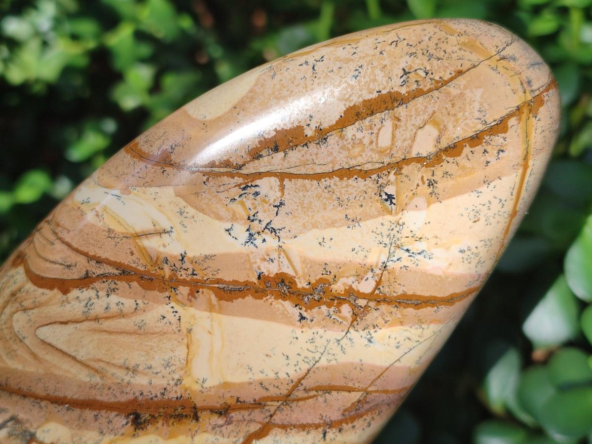 Polished Picture Stone Jasper Standing Display Pieces x 2 From Ais-Ais, Namibia