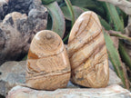 Polished Picture Stone Jasper Standing Display Pieces x 2 From Ais-Ais, Namibia - Toprock Gemstones and Minerals 