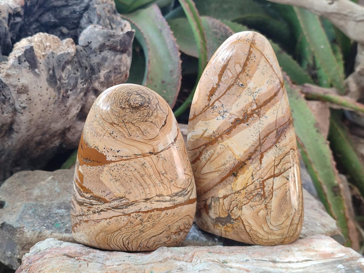 Polished Picture Stone Jasper Standing Display Pieces x 2 From Ais-Ais, Namibia - Toprock Gemstones and Minerals 