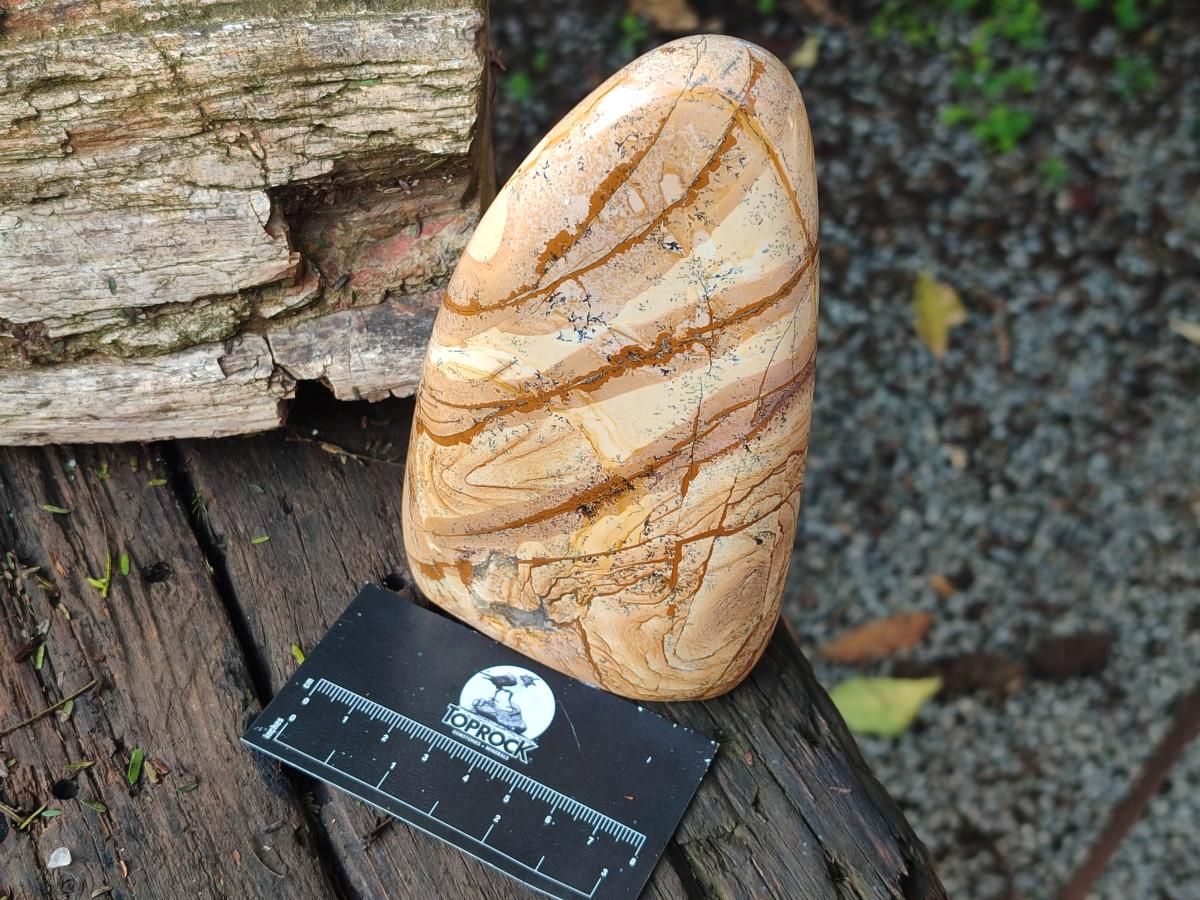 Polished Picture Stone Jasper Standing Display Pieces x 2 From Ais-Ais, Namibia - Toprock Gemstones and Minerals 