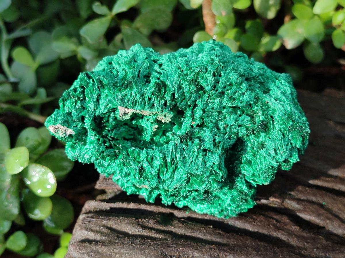 Natural Silky Malachite Specimens x 4 From Kasompe, Congo - Toprock Gemstones and Minerals 