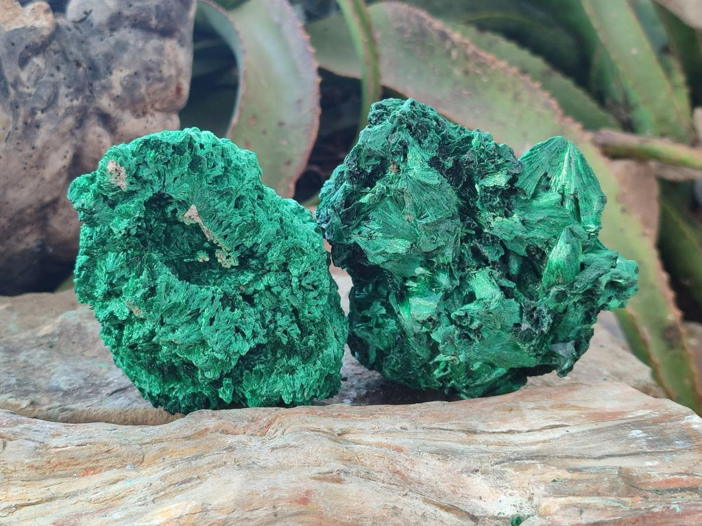 Natural Silky Malachite Specimens x 4 From Kasompe, Congo - Toprock Gemstones and Minerals 