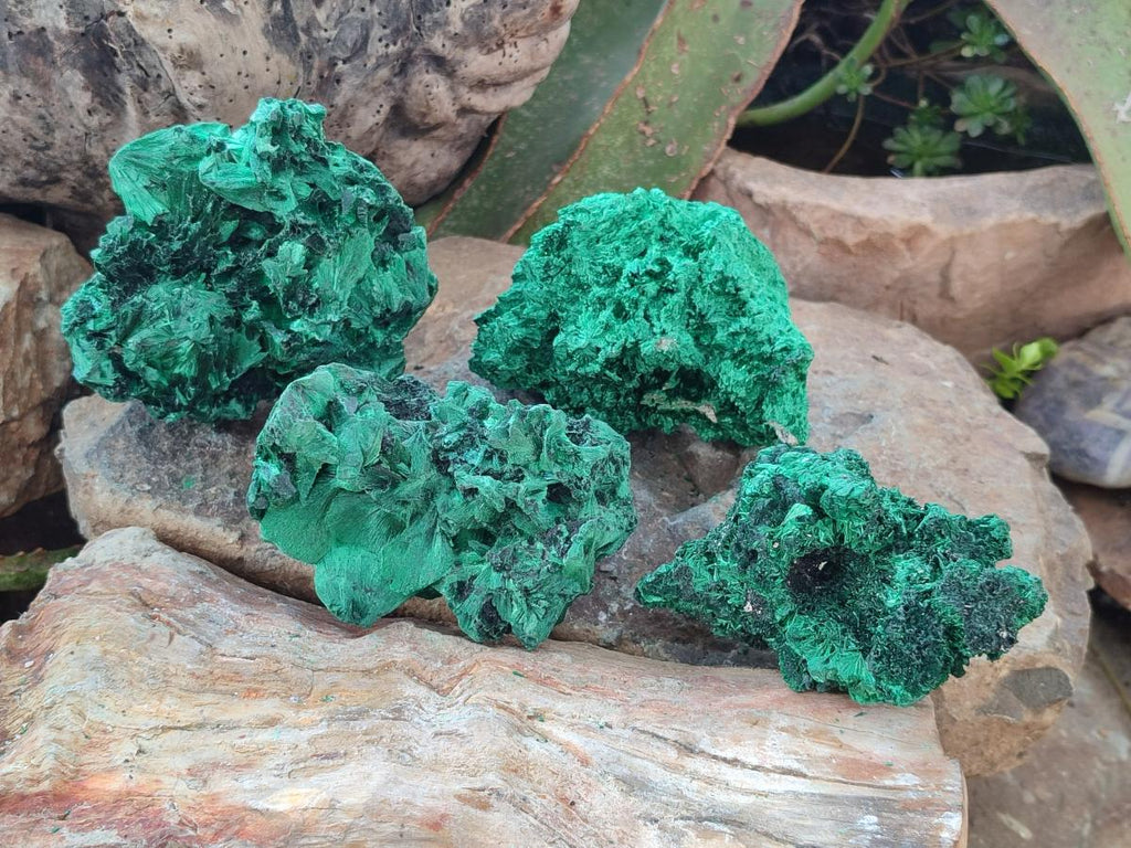 Natural Silky Malachite Specimens x 4 From Kasompe, Congo - Toprock Gemstones and Minerals 