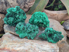 Natural Silky Malachite Specimens x 4 From Kasompe, Congo - Toprock Gemstones and Minerals 