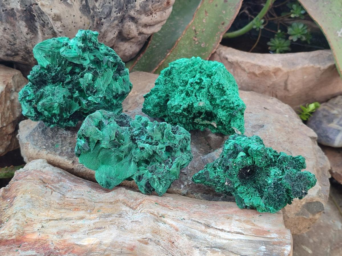 Natural Silky Malachite Specimens x 4 From Kasompe, Congo - Toprock Gemstones and Minerals 