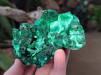 Natural Silky Malachite Specimens x 4 From Kasompe, Congo - Toprock Gemstones and Minerals 