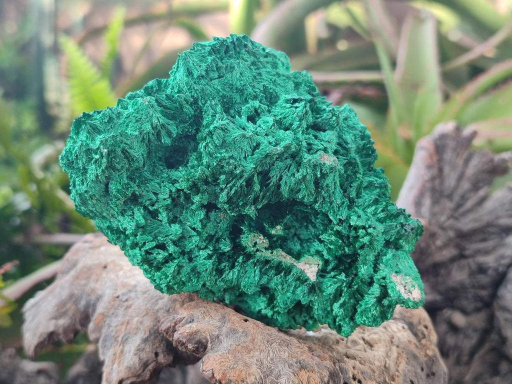 Natural Silky Malachite Specimens x 4 From Kasompe, Congo - Toprock Gemstones and Minerals 