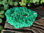 Natural Silky Malachite Specimens x 4 From Kasompe, Congo - Toprock Gemstones and Minerals 