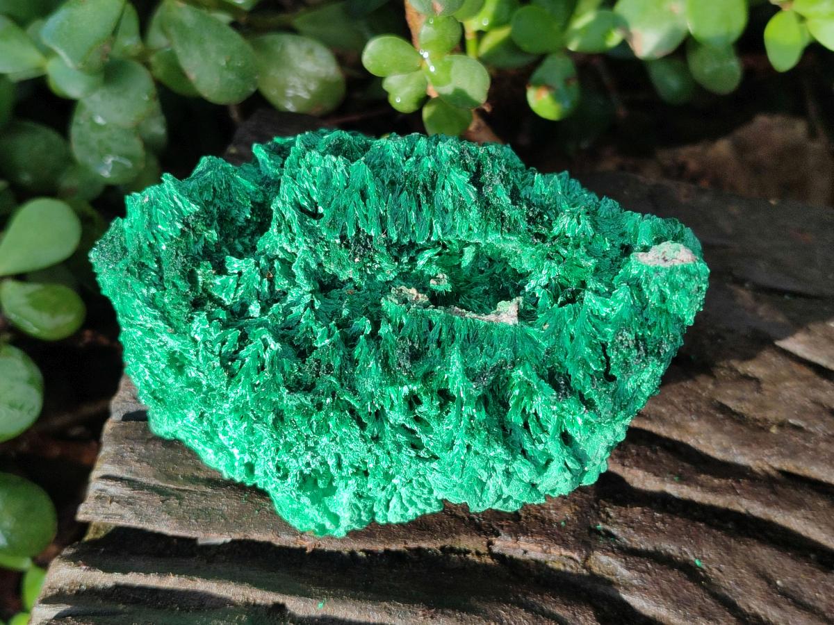Natural Silky Malachite Specimens x 4 From Kasompe, Congo - Toprock Gemstones and Minerals 