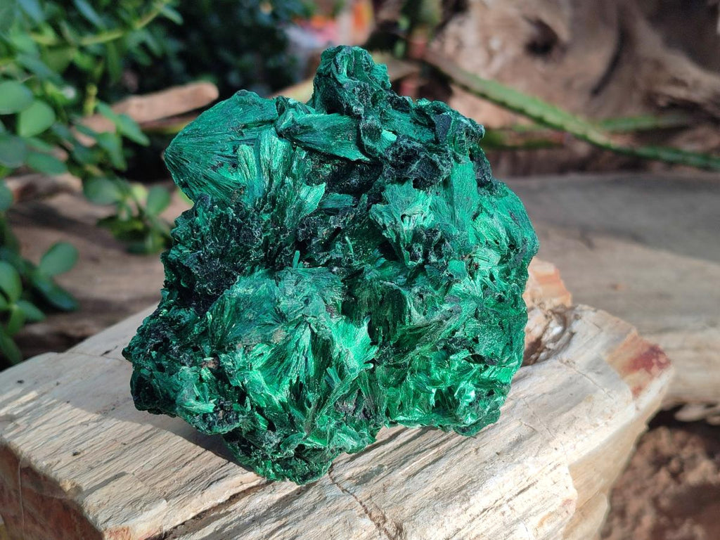 Natural Silky Malachite Specimens x 4 From Kasompe, Congo - Toprock Gemstones and Minerals 
