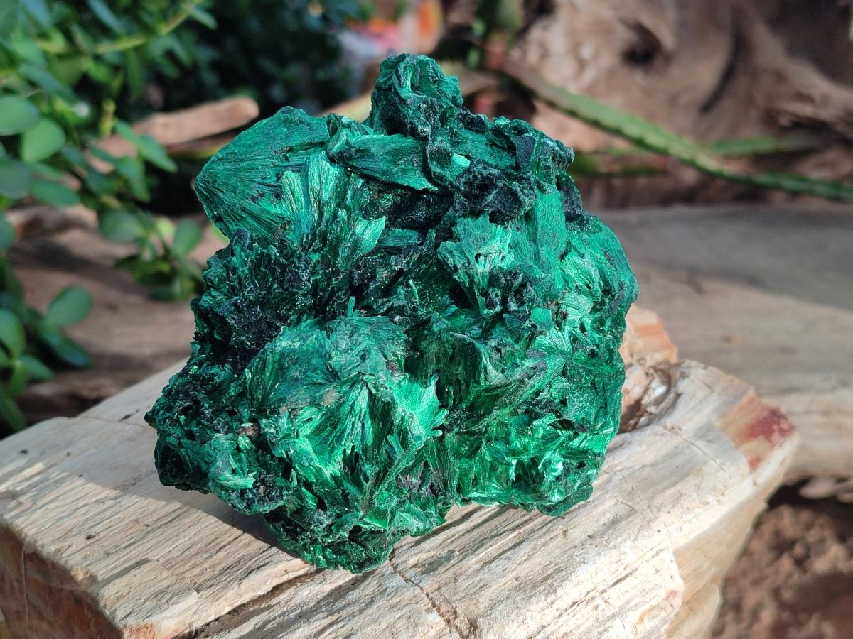 Natural Silky Malachite Specimens x 4 From Kasompe, Congo - Toprock Gemstones and Minerals 