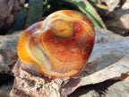 Polished Large Carnelian Agate Gemstone Hearts x 6 From Madagascar - Toprock Gemstones and Minerals 