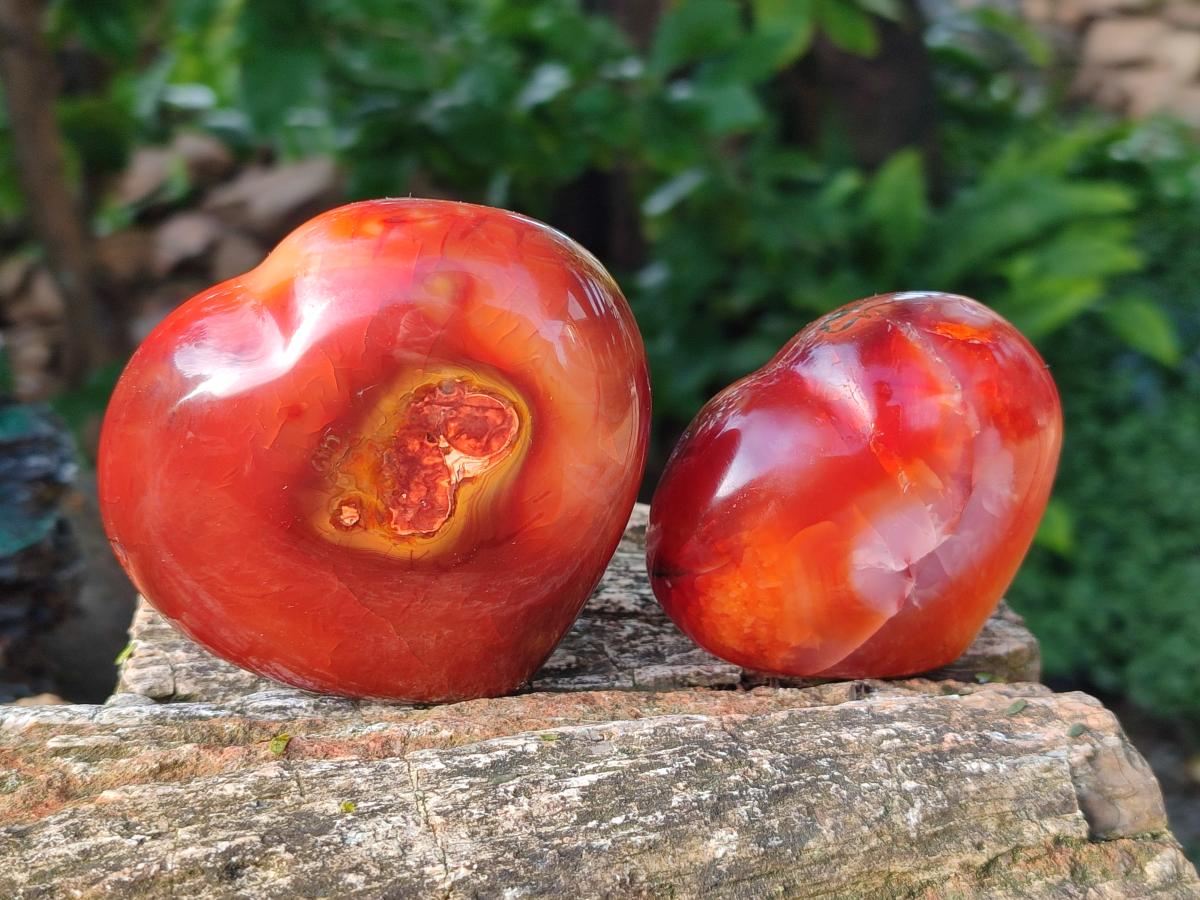 Polished Large Carnelian Agate Gemstone Hearts x 6 From Madagascar