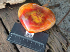 Polished Large Carnelian Agate Gemstone Hearts x 6 From Madagascar - Toprock Gemstones and Minerals 