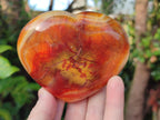 Polished Large Carnelian Agate Gemstone Hearts x 6 From Madagascar - Toprock Gemstones and Minerals 