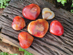 Polished Large Carnelian Agate Gemstone Hearts x 6 From Madagascar - Toprock Gemstones and Minerals 
