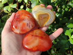 Polished Large Carnelian Agate Gemstone Hearts x 6 From Madagascar - Toprock Gemstones and Minerals 