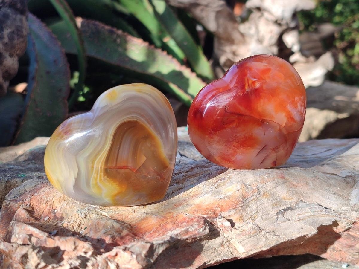 Polished Large Carnelian Agate Gemstone Hearts x 6 From Madagascar - Toprock Gemstones and Minerals 