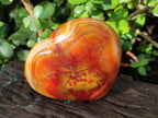 Polished Large Carnelian Agate Gemstone Hearts x 6 From Madagascar - Toprock Gemstones and Minerals 
