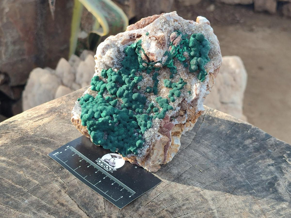 Natural Large Crystalline Ball Malachite and Quartz on Dolomite Matrix x 1 From Mindingi Mine, Kambove, Congo - Toprock Gemstones and Minerals 