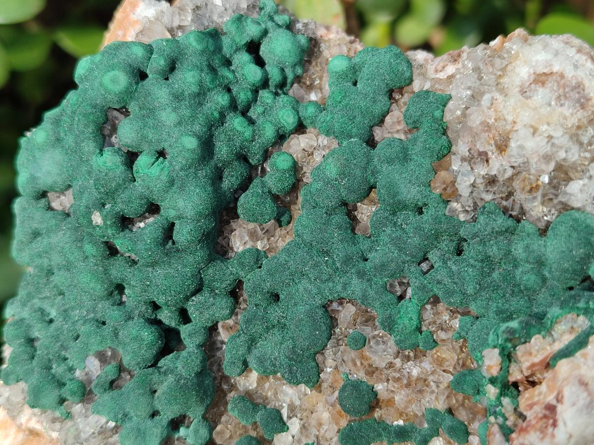 Natural Large Crystalline Ball Malachite and Quartz on Dolomite Matrix x 1 From Mindingi Mine, Kambove, Congo