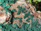 Natural Large Crystalline Ball Malachite and Quartz on Dolomite Matrix x 1 From Mindingi Mine, Kambove, Congo - Toprock Gemstones and Minerals 